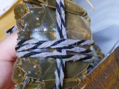 -乡乐园蟹庄·阳澄湖农家乐