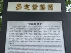 -嘉定紫藤园