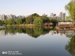 -新江湾城公园