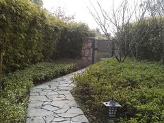 到门口的小径-天目湖涵田度假村