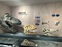 -自贡恐龙博物馆