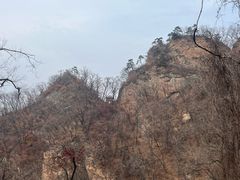 -天女山森林公园
