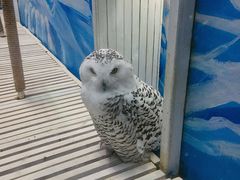 -成都浩海立方海洋公园