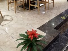 -冶春茶社(星汉大厦店)