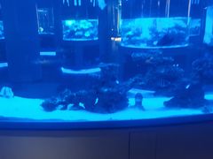 -上和臻品中国菜(花园街店)