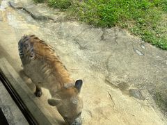 -杭州野生动物世界