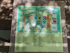 -九龙公园
