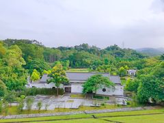 -谷丰健康凤贤居酒家