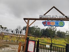 -空港花田景区