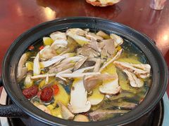 -蘑统田下·野生菌火锅