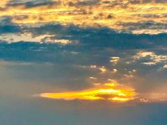 -春花秋色城市公园