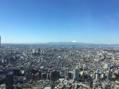 -东京都厅舍