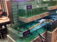 -鱼你相聚·河鲜馆(袁家岭店)