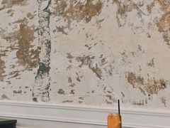 西柚凤梨-A30 BISTRO