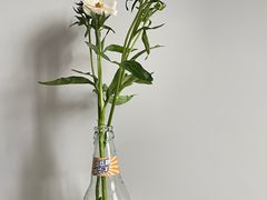 -循礼门鲜花花市(武汉循礼门店)