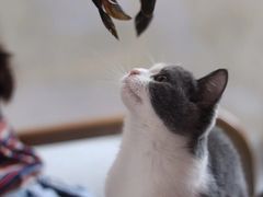 -猫爪屋猫咖(乐汇城店)