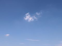 -月湖风景区