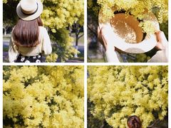 -厦门国家会计学院