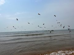 -老虎石海上公园