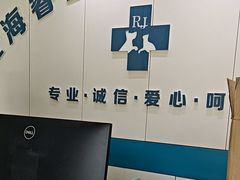 -睿金宠物医院·CT·肿瘤·骨外科