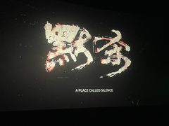-金逸影城(荟聚IMAX激光店)