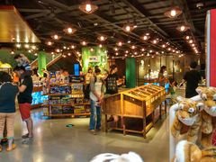 店内环境-Behring World of Animals(上海自然博物馆店)