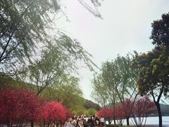 -南北湖风景区