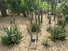 -东莞植物园