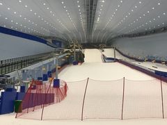 -哈尔滨热雪奇迹