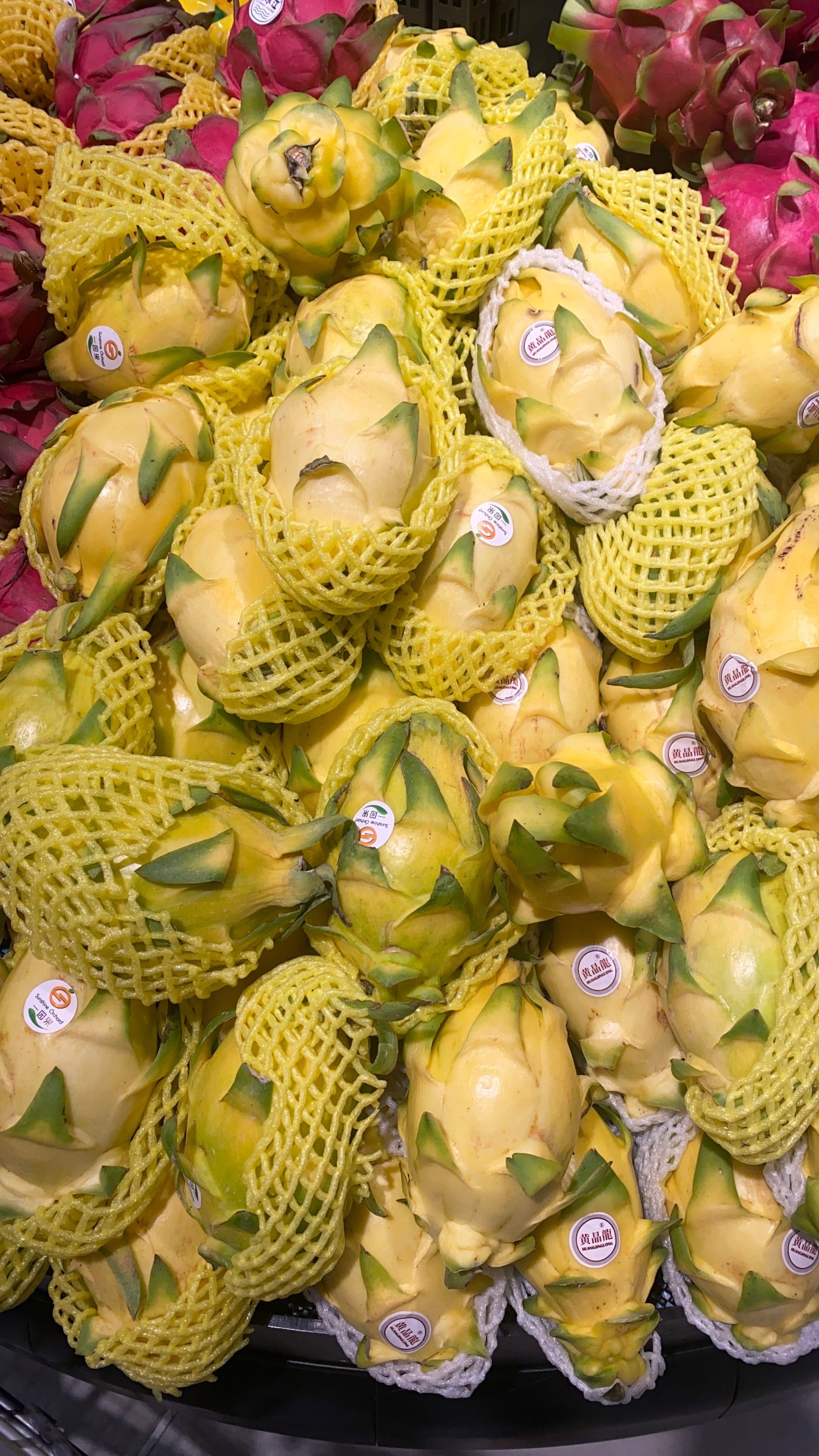 黄色的火龙果你们见过吗