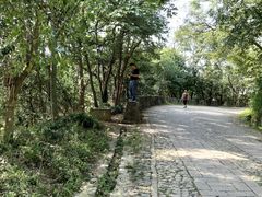 -紫金山天文台