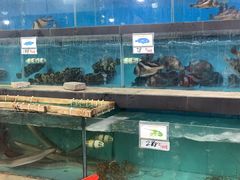 -钱大妈海鲜饭店(旅游大道店)