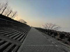 -上海滨江森林公园
