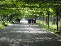 -东平国家森林公园