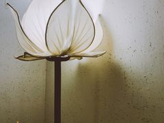 -有才叔北京时间涮肉(紫薇尚层店)