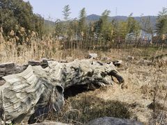 -原乡小镇度假乐园