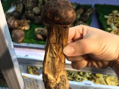 -七采菌园·石锅鱼野生菌火锅(环城北路店)