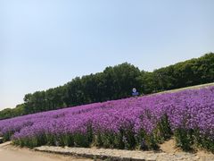 -江苏三台山国家森林公园