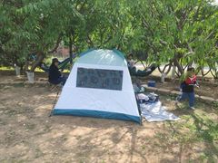 -永定河休闲森林公园