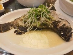 石斑鱼-新好景海鲜酒家(新塘店)