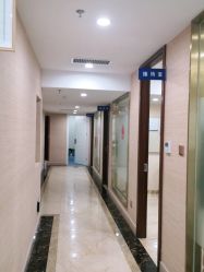 -碧莲盛·不剃发植发