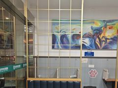 -伟伟宠物医院·瑞派猫友好医院·猫科(光谷店)