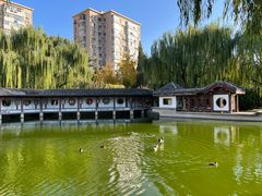 -团结湖公园
