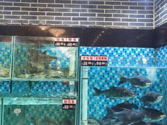 -农汤老店(顺联公园里店)