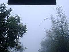 IMAG1303-东部华侨城
