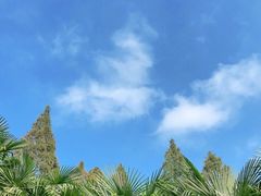 -上海滨江森林公园
