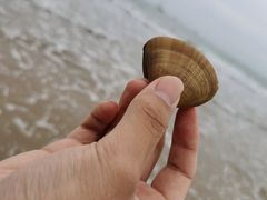 -鼓歌海鲜舫·手抓海鲜(大学城店)