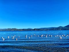 -丽江泸沽湖景区