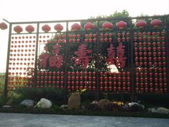 -合肥滨湖国家森林公园