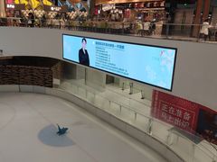 -TheRink大零溜冰场(IFS国金中心店)